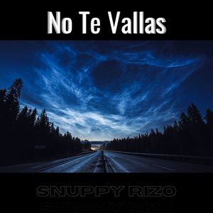 No Te Vallas