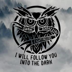 I Will Follow You Into The Dark