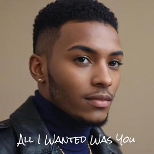 All I Wanted Was You