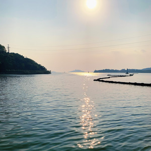 我的祖国 (纯音乐|翻奏: 刘俊辉)