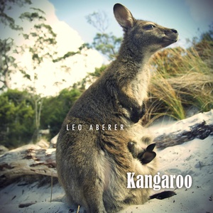 Kangaroo