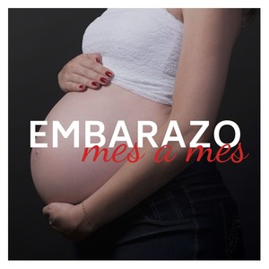 Embarazo Mes a Mes - 1 Hora Terapia Musical Relajante Durante Desarrollo del Feto y Etapas del Embarazo