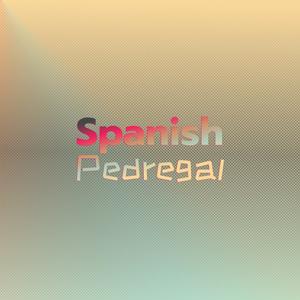 Spanish Pedregal