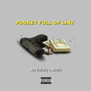 Pocket Full Of Lint (Explicit)