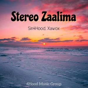 Sin4Hood - Stereo Zaalima