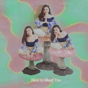 Nice To Meet You (Explicit)
