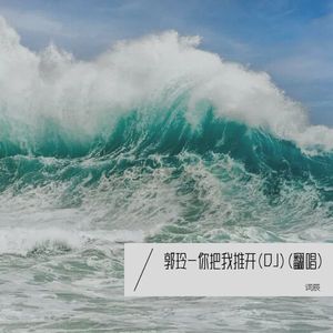 郭玲-你把我推开 (DJ版)