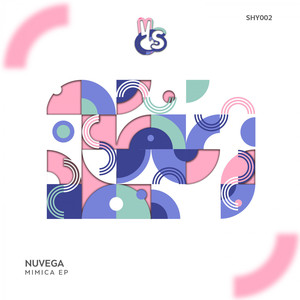 Shallow Waters (Original Mix)