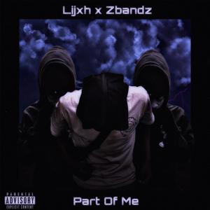 Part Of Me (feat. Zbandzongo) [Explicit]