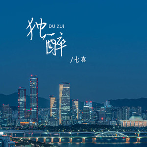 独醉封面