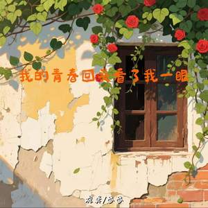 我的青春回头看了我一眼