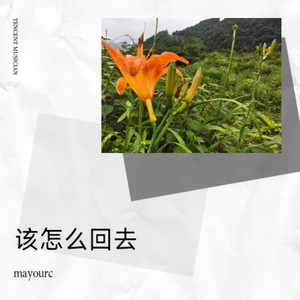 是我 (伴奏)封面