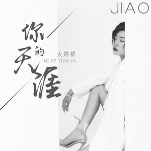 你的天涯