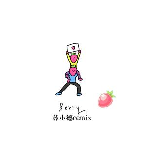 李佳隆-BERRY REMIX (苏小德 Remix)