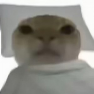 哈基米起床铃 (小米版)