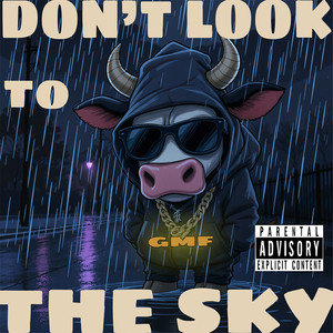 Don't Look to the Sky