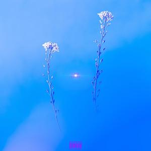 Like That (Explicit)