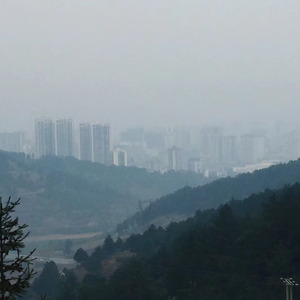 今天你决定要离开我