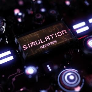 Simulation