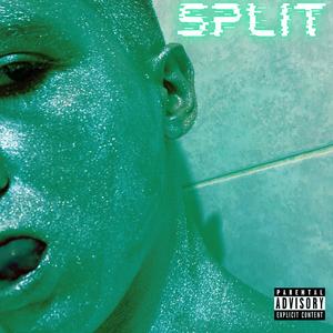 Ghost In The Machine (Explicit)