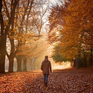 When The World Takes A Pause