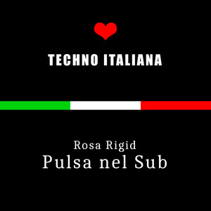 Pulsa nel Sub (Italian Techno)