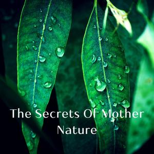 The Secrets Of Mother Nature