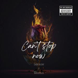 Cant stop now (feat. B0squeeze) (Explicit)