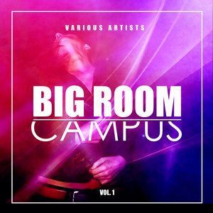 Shine On (David Chevallier 101 Hudson Remix)