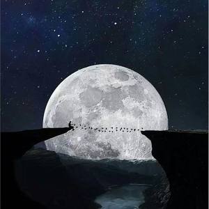 野狼disco-火锅丸子