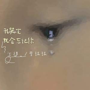 我哭完就会忘记你