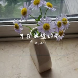 开在废墟的花