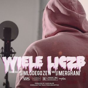 Wiele liczb