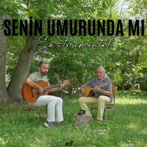 Senin Umurunda Mı (feat. Şenol KAYA & Bülent BALAN)