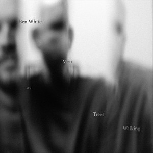 Men as Trees Walking