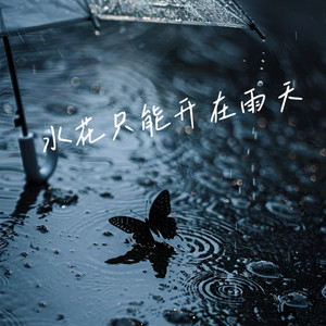 水花只能开在雨天