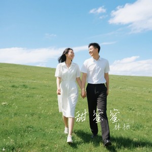 甜蜜蜜 (欢快雷鬼版)封面