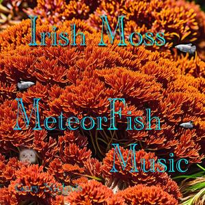 Irish Moss