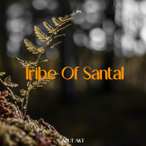 Tribe Of Santal