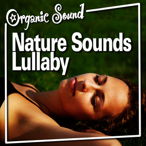 Nature Sounds Lullaby