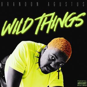 Wild Things (Explicit)