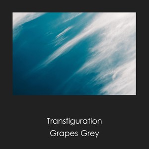 Transfiguration