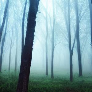 a brief moment of silence