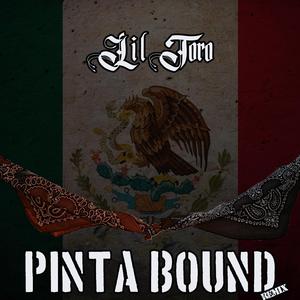 Pinta Bound (Remix)