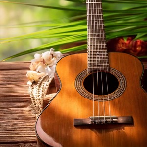 Guitar Music: Soothing Spa Melodies