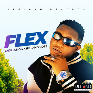 Flex (Explicit)