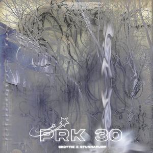 prk-30 (feat. Stunnapurp) (Explicit)
