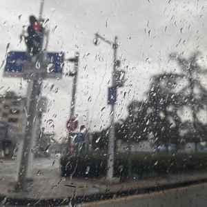 节目效果一起飞