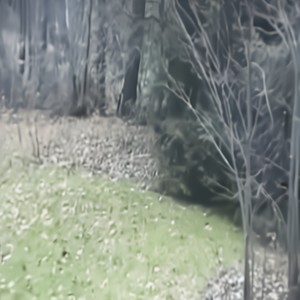 cold (Explicit)