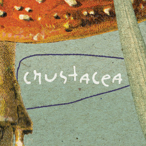 Crustacea